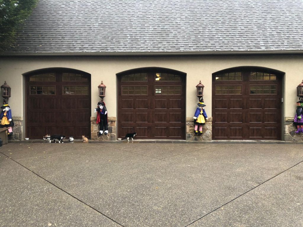 Garage Door Installation Guide: Costs, Process & Best Options
